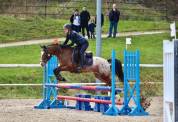 Poney C par Ugo des Clas