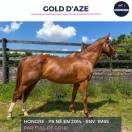 MAGNIFIQUE HONGRE PS ALEZAN - GOLD D'AZE - 10 ANS 