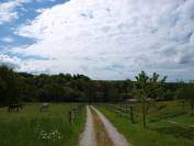 Belle propriété équestre sur 9 Hectares