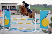 Poney d'exception, CSO, 9 ans