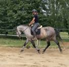 Hispano-arabe 6 ans