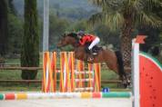 Top jument 7 ans pour amateur 