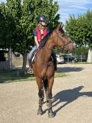 Top jument 7 ans pour amateur 