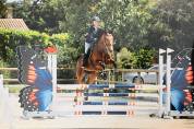 Top jument 7 ans pour amateur 