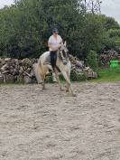 A vendre cheval PRE très gentil pour tout cavalier 