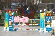 Poney de grand prix