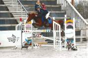 Poney de grand prix