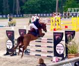 Poney de grand prix