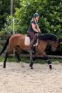 AV Belle Jument de 3 ans 1.63 m pour CSO ou Dressage