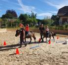 PONEYS DE CLUB TAILLE A 