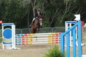 poney de sport D à vendre uniquement