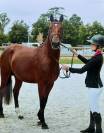 Poney pfs entier de 3 ans par Syriac 