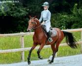 Poney pfs entier de 3 ans par Syriac 