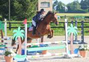 Très gentil hongre 4 ans pour CSO 125cm