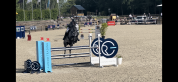 Cheval idéal Amateur Elite - 1.30m