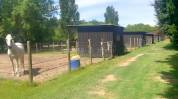 Equestrian property  Bouches-du-Rhône
