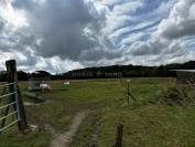 Jolie propriété équestre, 2 maisons, 9 hectares