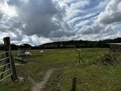 Equestrian property  Vendée