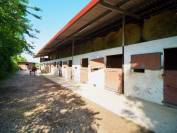 Centre equestre en activité