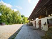 Centre equestre en activité