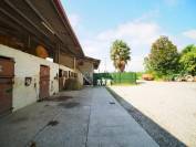 Centre equestre en activité