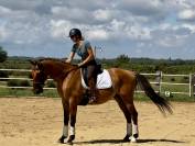 Lusitano sport 