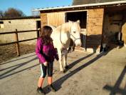 Pension pour chevaux familiale à Etriché, 49