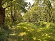 Propriété équestre 20hectares au nord de Tours