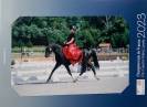 Poney de sport dressage