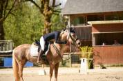 Ponette à prendre en pension pour épreuve As