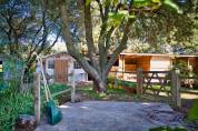 Uzès - Maison de campagne avec équipements chevaux