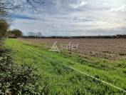 Propriété Rurale sur environ 86 ha (dont Env. 31 ha en fermage