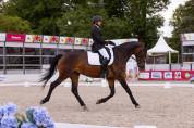 Jument de Dressage 5 ans