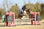 Cheval de Sport 6 ans 