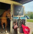 Ecurie - pension chevaux 95 Val d'Oise