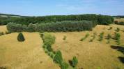 Propriété sur 6 hectares de nature préservée