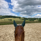 Haras au coeur des possibles