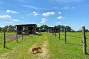 Charmante popriété équestre de 15 hectares (01)