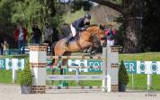 JUMENT CSO 11ANS prix en baisse+++