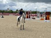 PONEY DE SPORT 10 ANS A LOUER