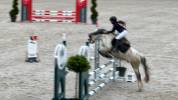 PONEY DE SPORT 10 ANS A LOUER