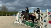 PONEY SPORT  POTTOCK 14 ANS 