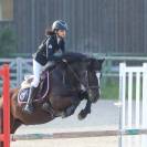 PONEY SPORT  POTTOCK 14 ANS 