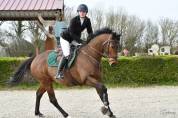 Pursang pour Dressage