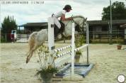 Hongre 4 ans 1m32 bon sauteur