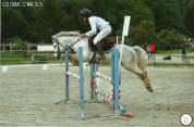 Hongre 4 ans 1m32 bon sauteur