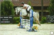 Hongre 4 ans 1m32 bon sauteur