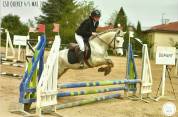 Hongre 4 ans 1m32 bon sauteur