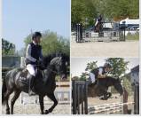 Ponette de sport