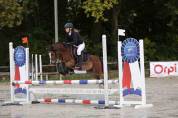 Poney entier welsh B